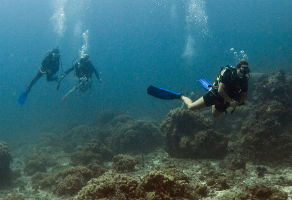 PADI Open Water Diver Course 3